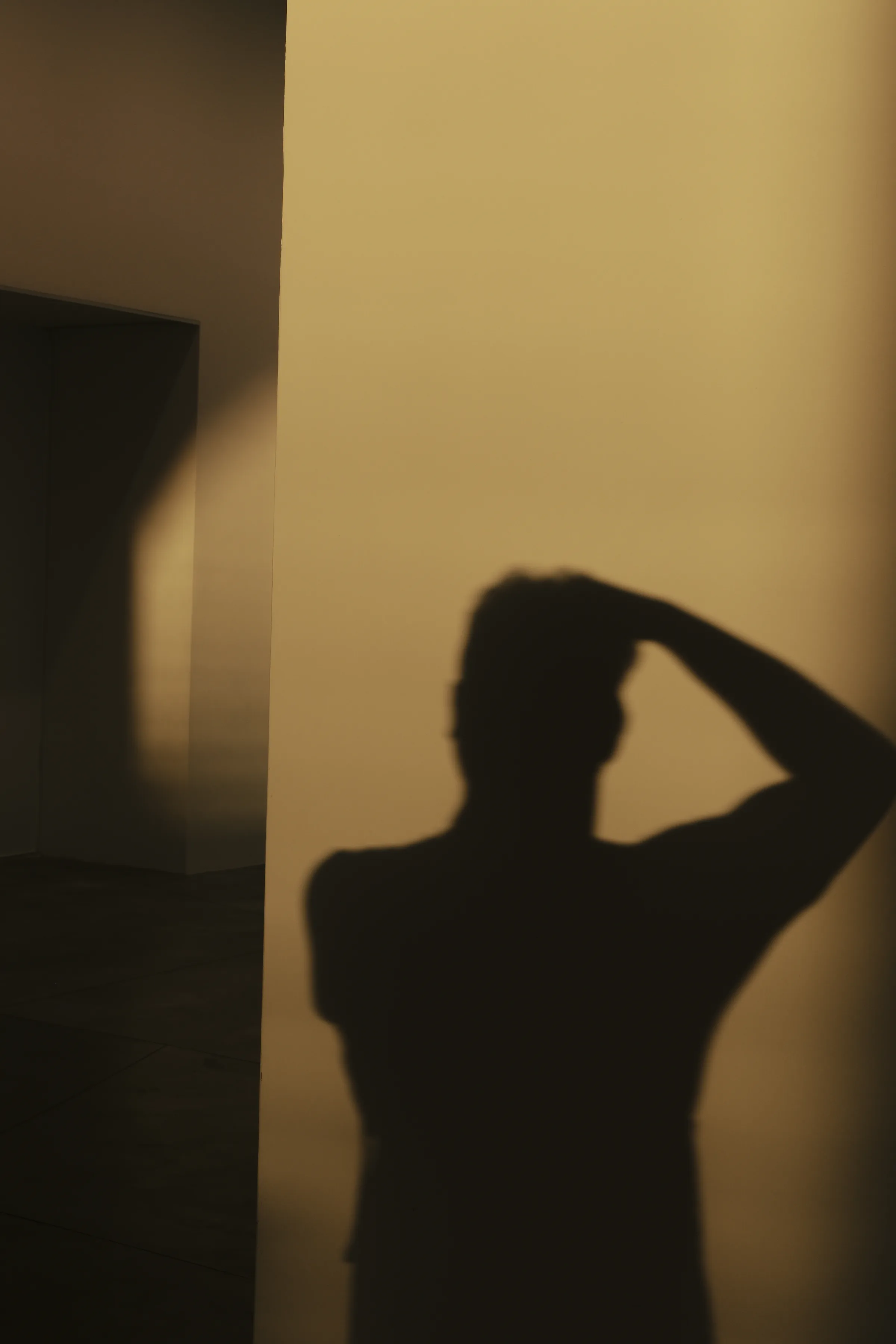 Silhouette of me