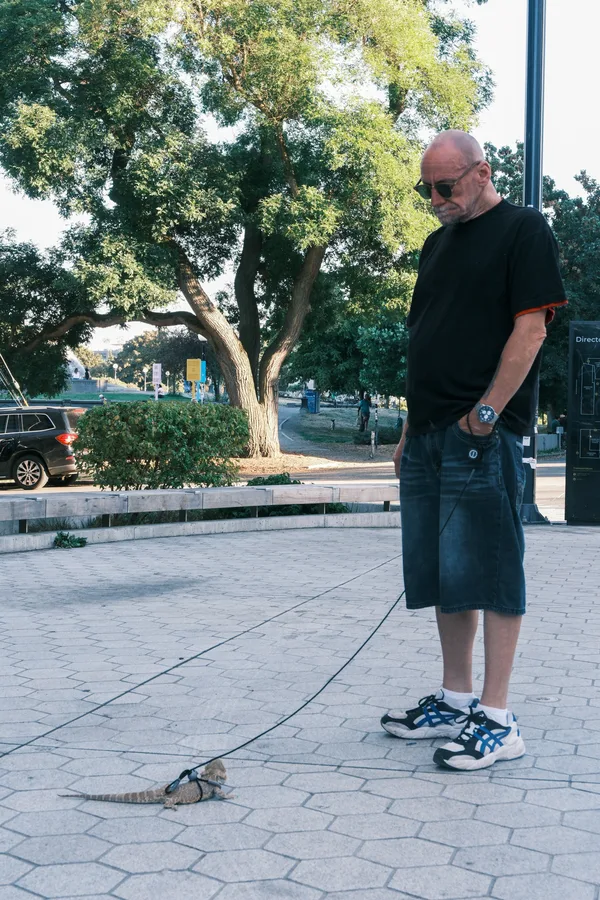 Walking his lizard named Ember